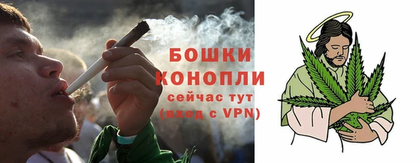 гашик Белокуриха
