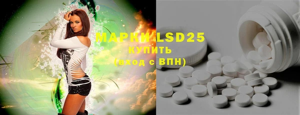 гашик Белокуриха
