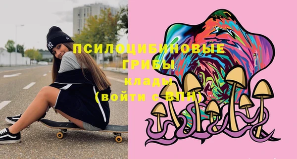 индика Струнино