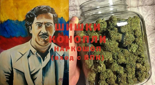 гашик Белокуриха