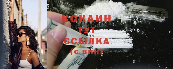 гашик Белокуриха