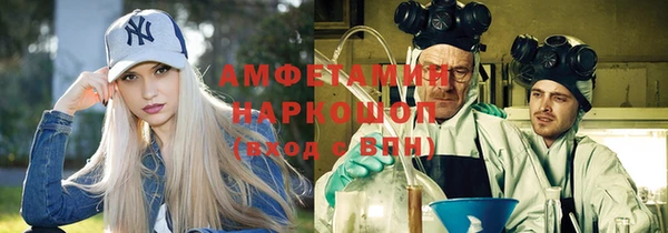 гашик Белокуриха